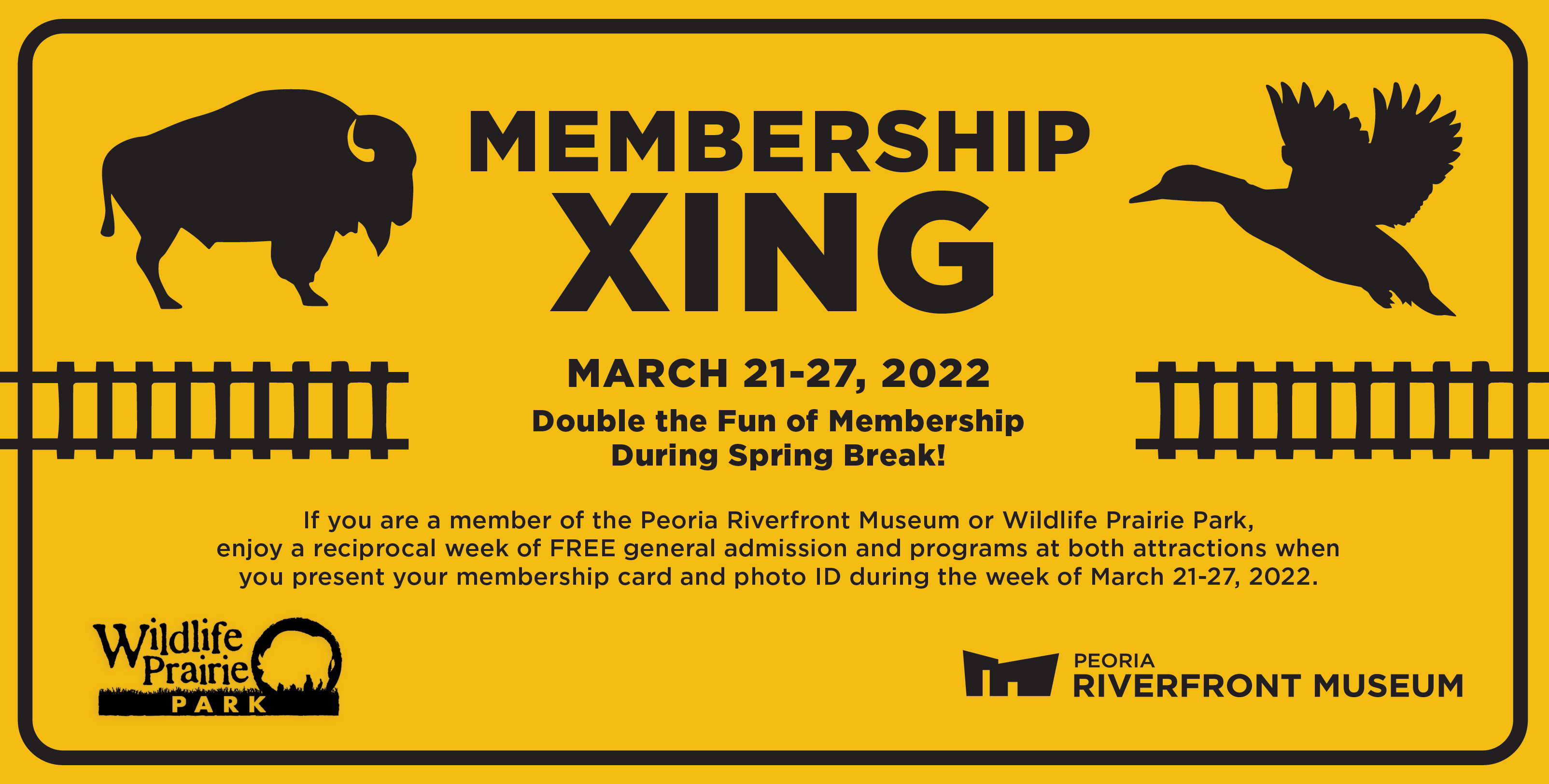 Preview Lightbox Membership Xing 22 Rev3 Preview Lightbox Membership Xing 22 Rev3