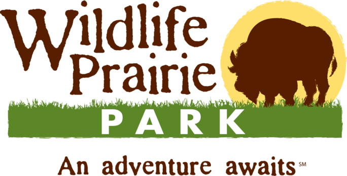 Wpp Png Full Color Logo Transparent Background Wpp Png Full Color Logo Transparent Background