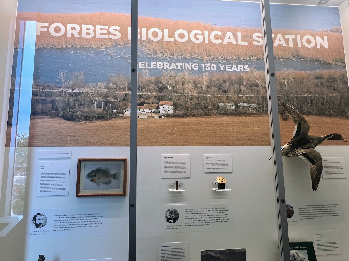 Img 3766 (1) Img 3766 (1)