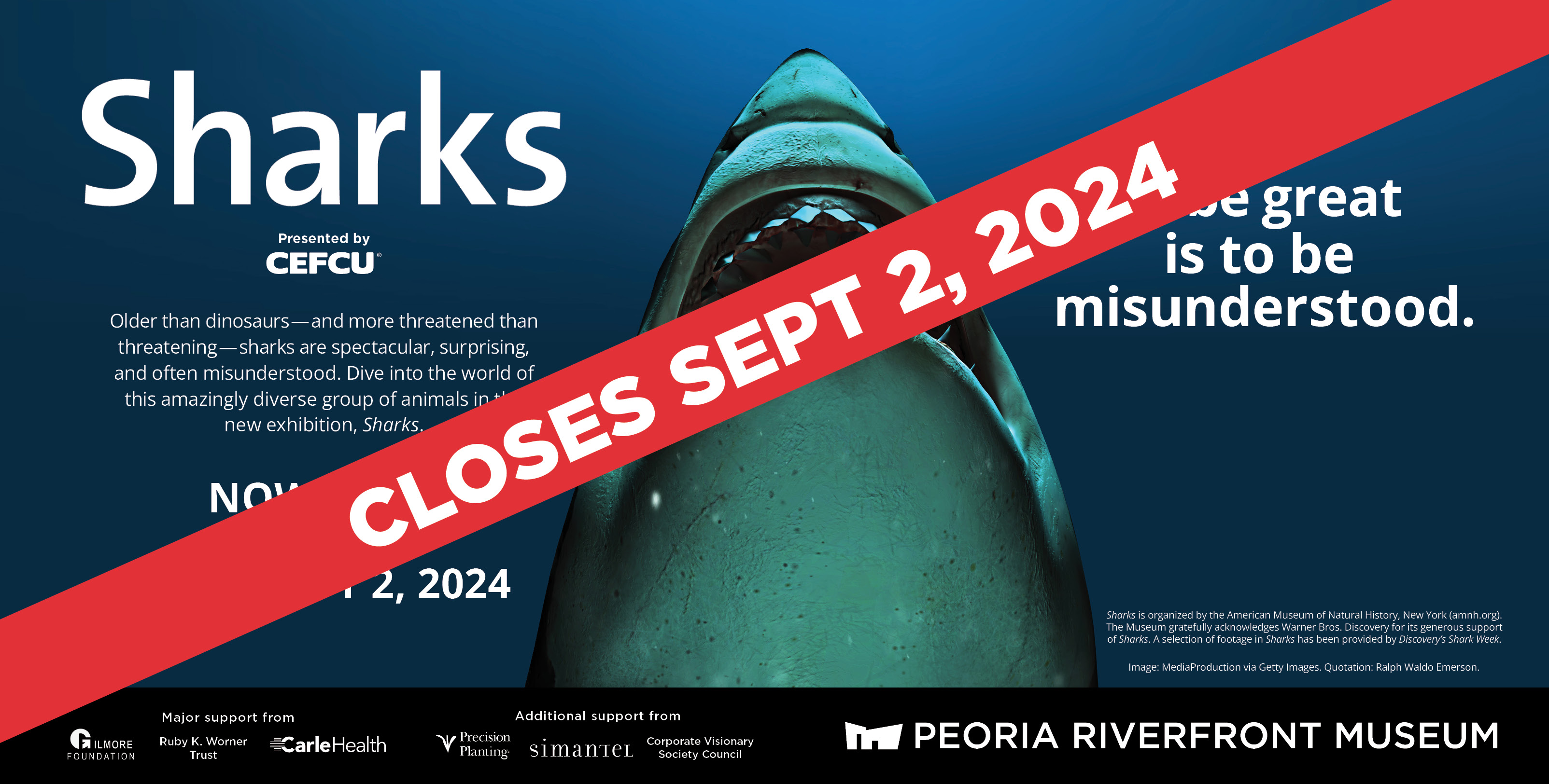 Sharks Wb New (1) Sharks Wb New (1)