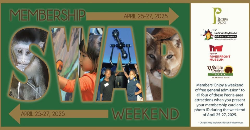 489810371 1074528244702099 4814628793612451098 N 489810371 1074528244702099 4814628793612451098 N