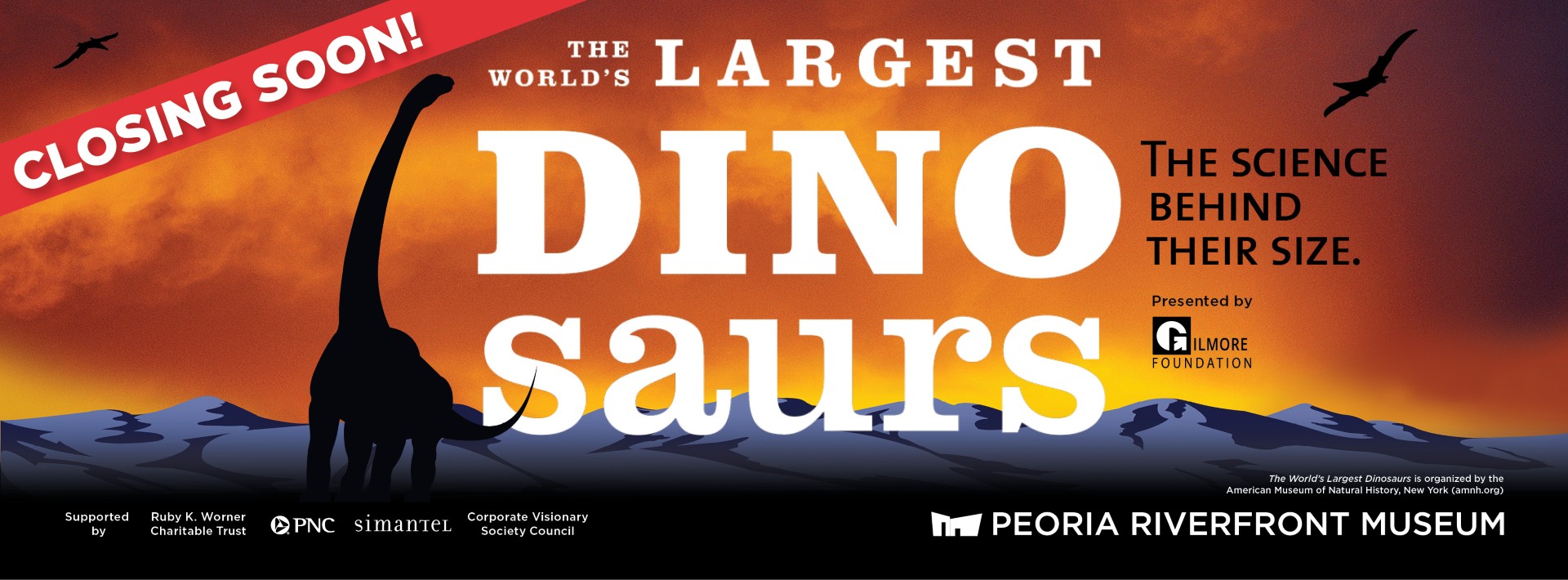 Thumbnail Dino Fb Cover Page2