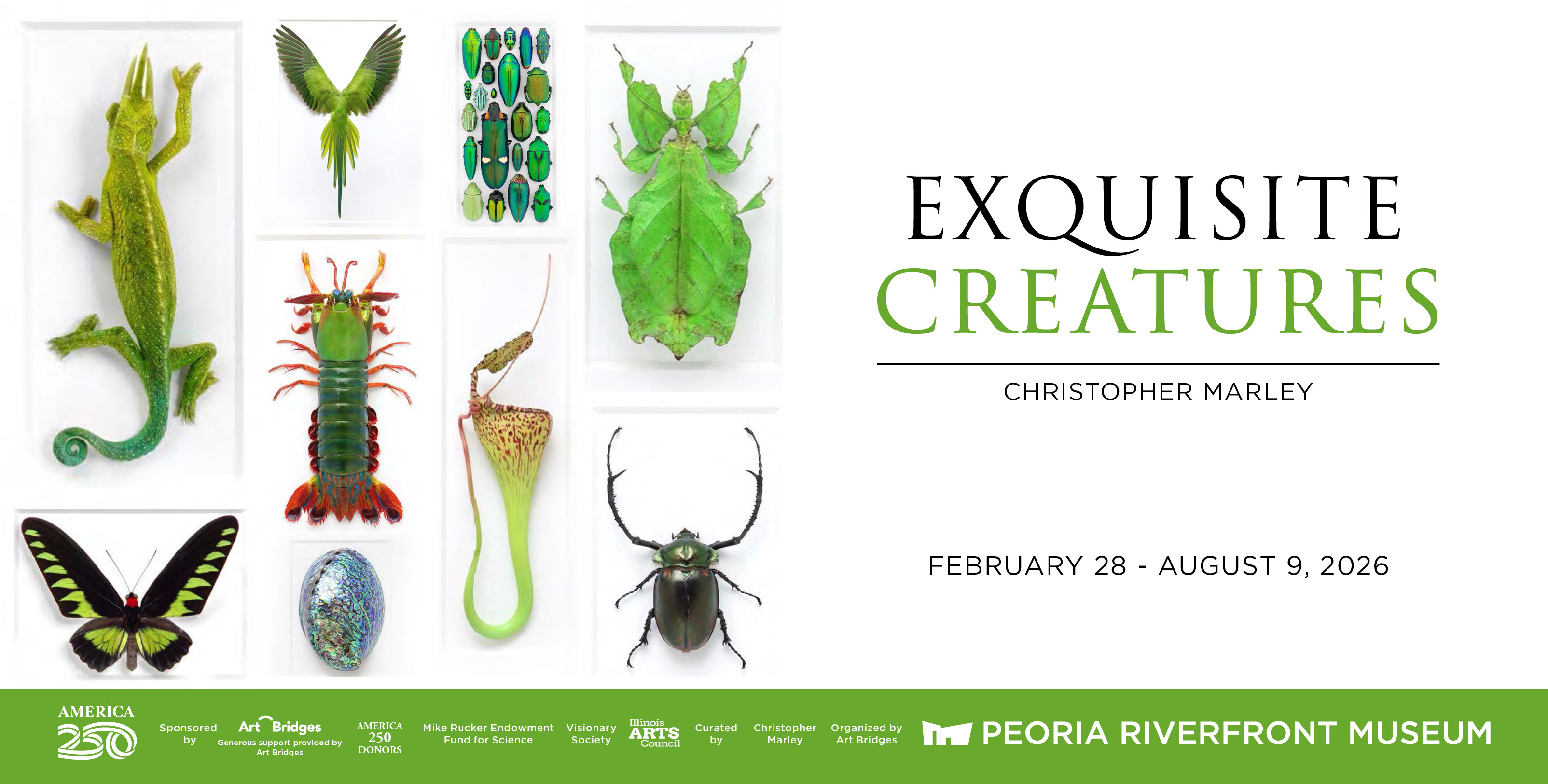 Exquisite Creatures Wb (3)